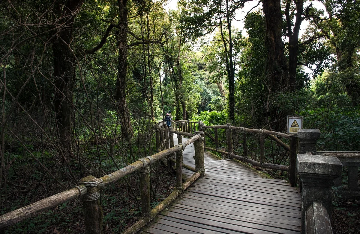 Intégration et automatisation : le véritable game-changer