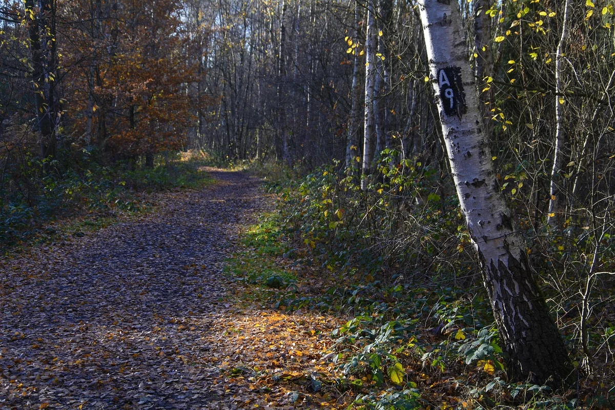 Construire un programme de fidélité qui a du sens